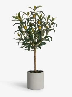 Kunstbloemen*Next Kleine kunstolijfboom in betonnen pot