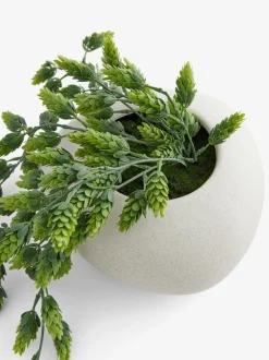Kunstbloemen*Next Kunstmatige hangende hop in witte keramische pot