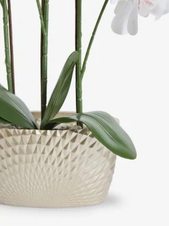 Kunstbloemen*Next Kunstorchidee in geometrische pot