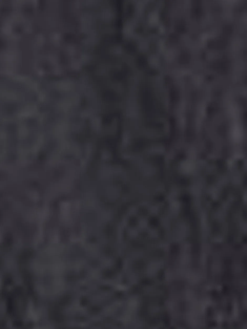 Riemen En Bretels*Levi's ® riem met brede lus en Twee Paarden-logo