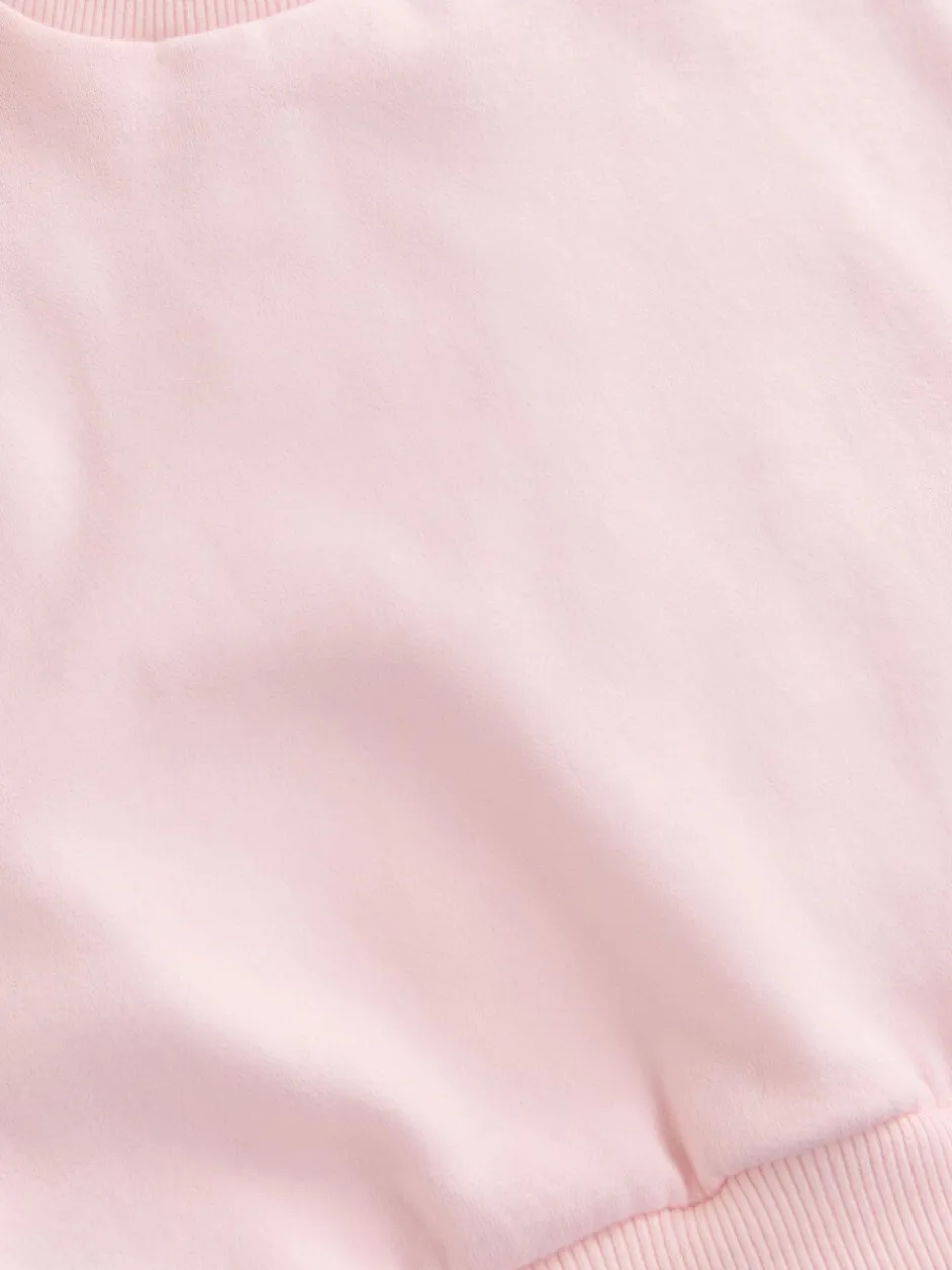 Truien En Breisels|Sweaters En Hoody´S*Next Light Pink House - Sweatshirt met ronde hals (3 mnd-7 jr)