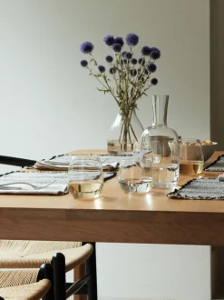 Glas|LSA International Borough 455ml set van glazen zonder steel