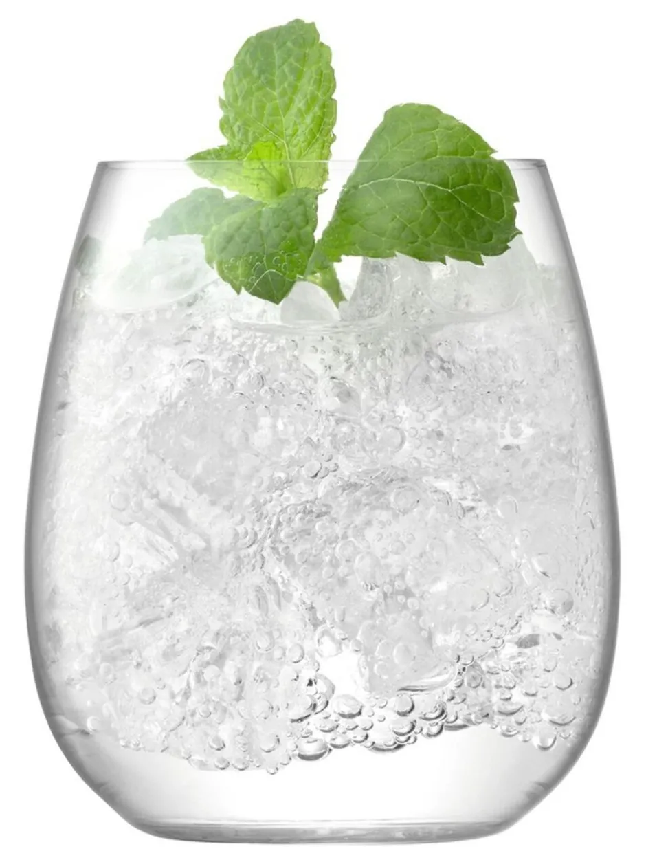 Glas|LSA International Borough 455ml set van glazen zonder steel