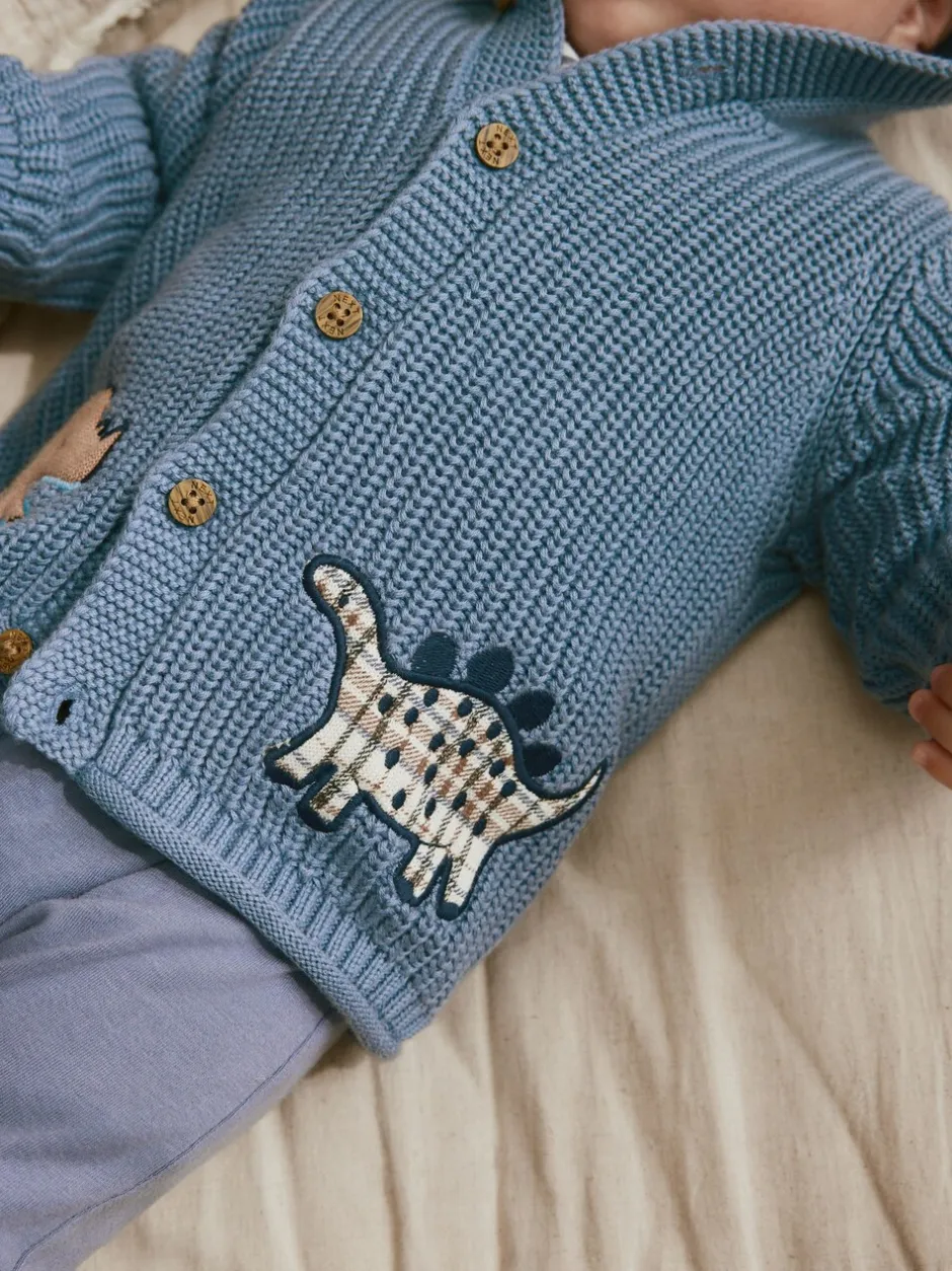 Truien En Breisels|Next Marineblauwe dinosaurusprint geborduurd - Gebreid babyvest met capuchon (0 mnd-2 jr)