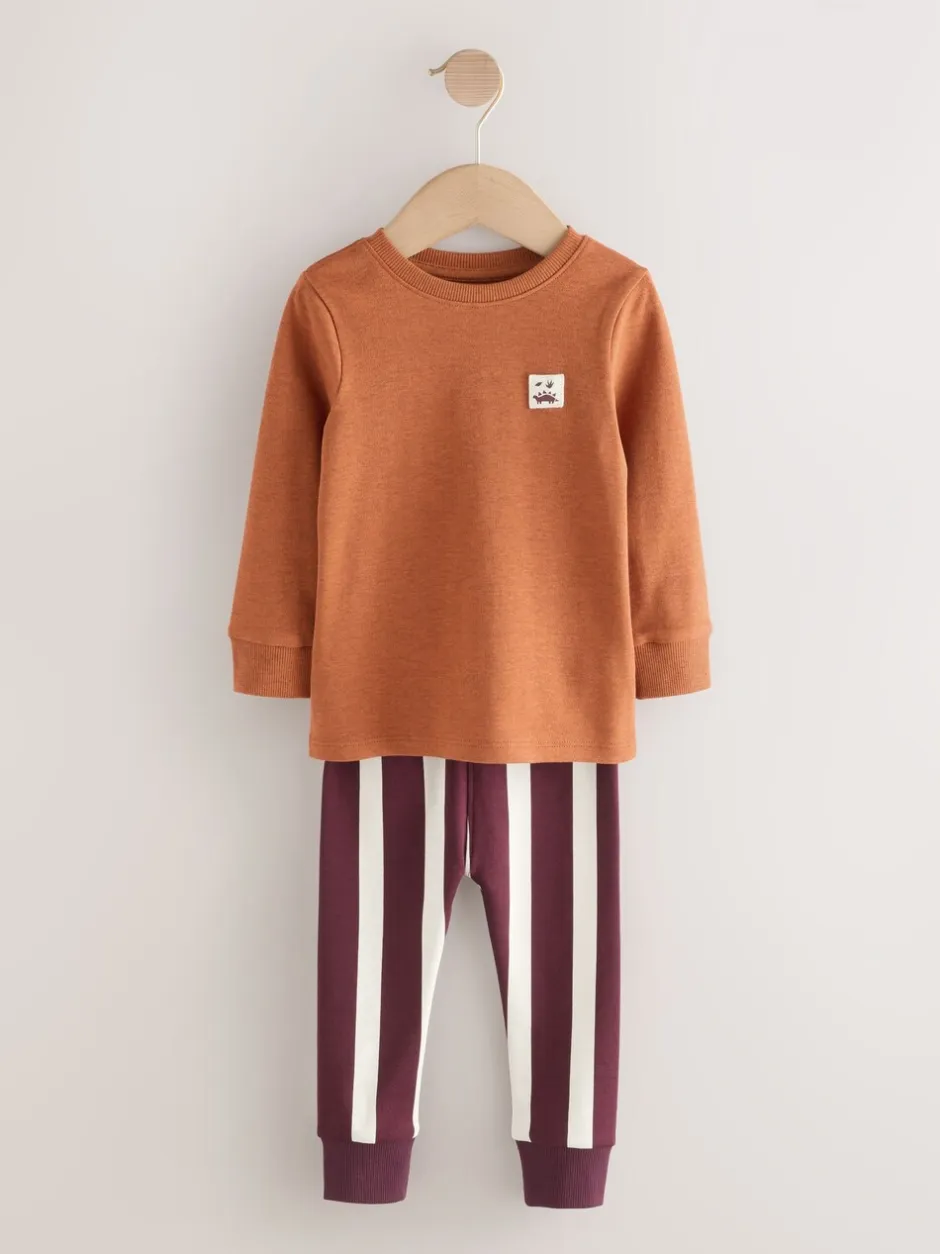 Pyjama's|Nachtkleding En Pyjama's*Next Meerdere felle kleuren met dino - Verpakking van 3 knusse pyjama's (9 mnd-10 jr)