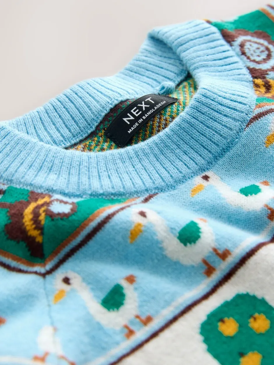 Truien En Breisels|Next Multi Fairisle Pattern - Character Knitted Crew Neck Jumper (3mths-7yrs)