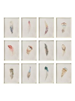 Canvassen En Kunst Voor Aan De Wand|OKA Set of 12 Feather Wall Art Prints