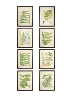 Canvassen En Kunst Voor Aan De Wand|OKA Set of 8 Framed Botanical Prints