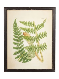 Canvassen En Kunst Voor Aan De Wand|OKA Set of 8 Framed Botanical Prints