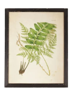 Canvassen En Kunst Voor Aan De Wand|OKA Set of 8 Framed Botanical Prints