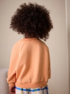 Sweaters En Hoody´S*Next Oranje - Sweatshirt met ronde hals (3 mnd-7 jr)