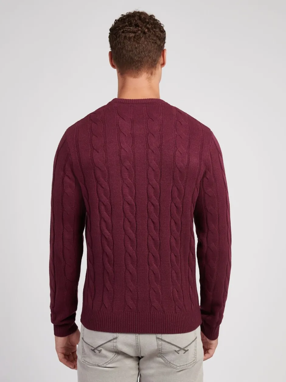 Gebreide Kleding|U.S. Polo Assn - . Mens Cable Knit Crew Jumper Paars