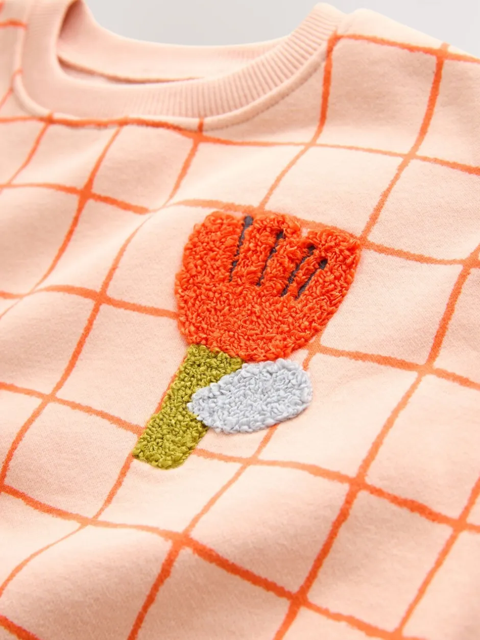 Truien En Breisels|Sweaters En Hoody´S*Next Perzikroze raster - Sweatshirt met ronde hals (3 mnd-7 jr)