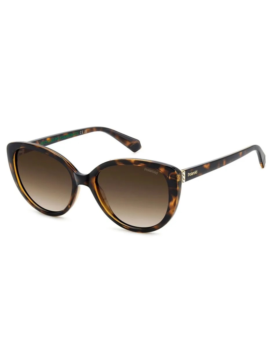 Zonnebril|Polaroid Brown Cat Eye Sunglasses