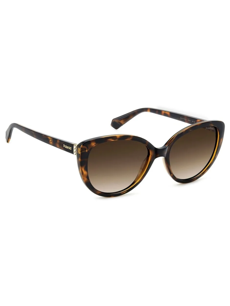 Zonnebril|Polaroid Brown Cat Eye Sunglasses
