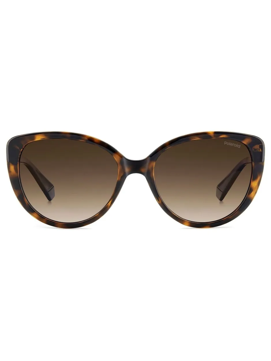 Zonnebril|Polaroid Brown Cat Eye Sunglasses