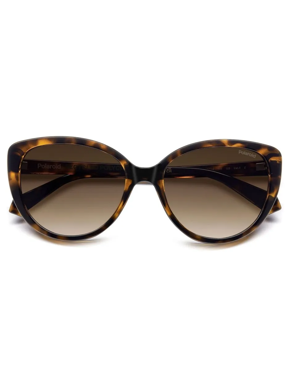 Zonnebril|Polaroid Brown Cat Eye Sunglasses
