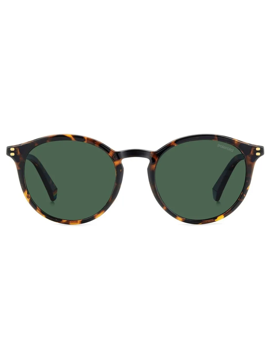 Zonnebril|Polaroid Havanas Panthos Brown Sunglasses