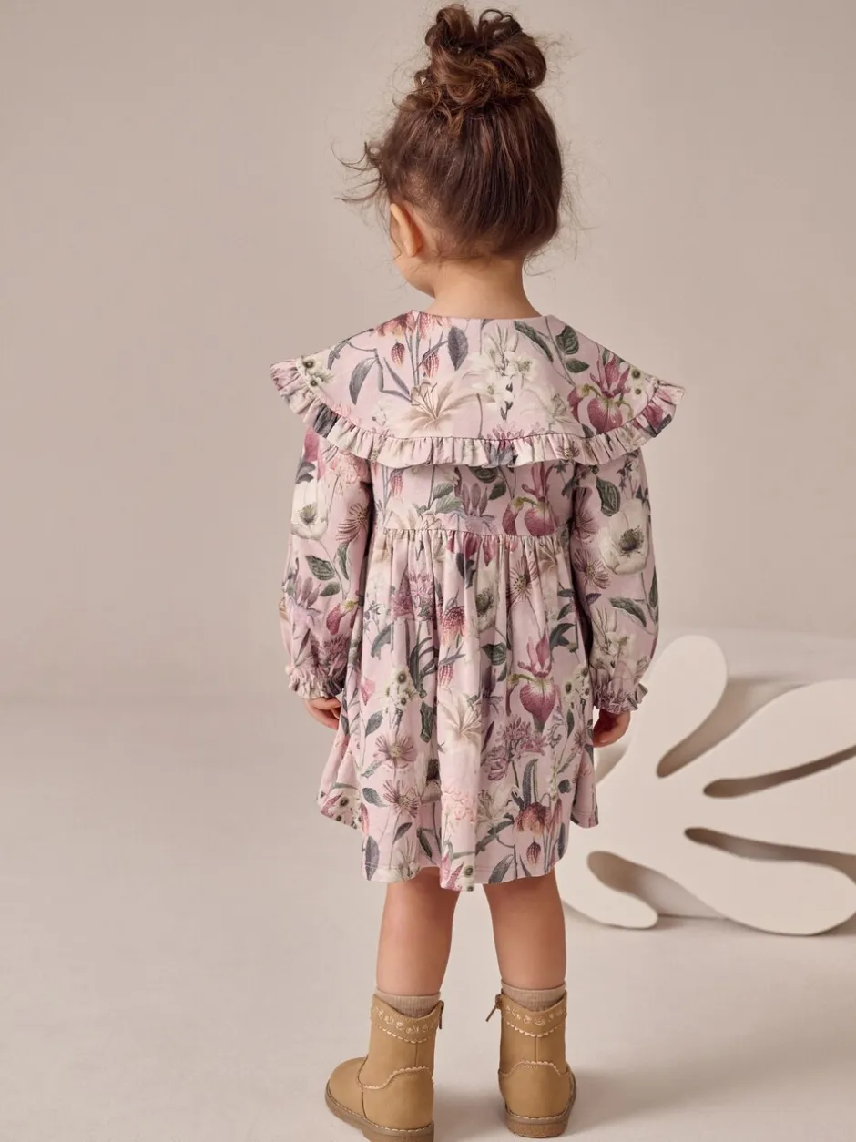 Jurken*Next - Jurk met lange mouwen en kraag (3mnd-7jr) Roze met bloemenprint