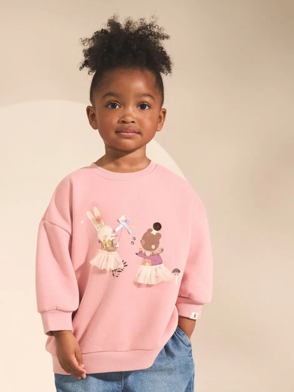 Sweaters En Hoody´S|Next Roze sprookjesfiguren - Sweatshirt met ronde hals (3 mnd-7 jr)