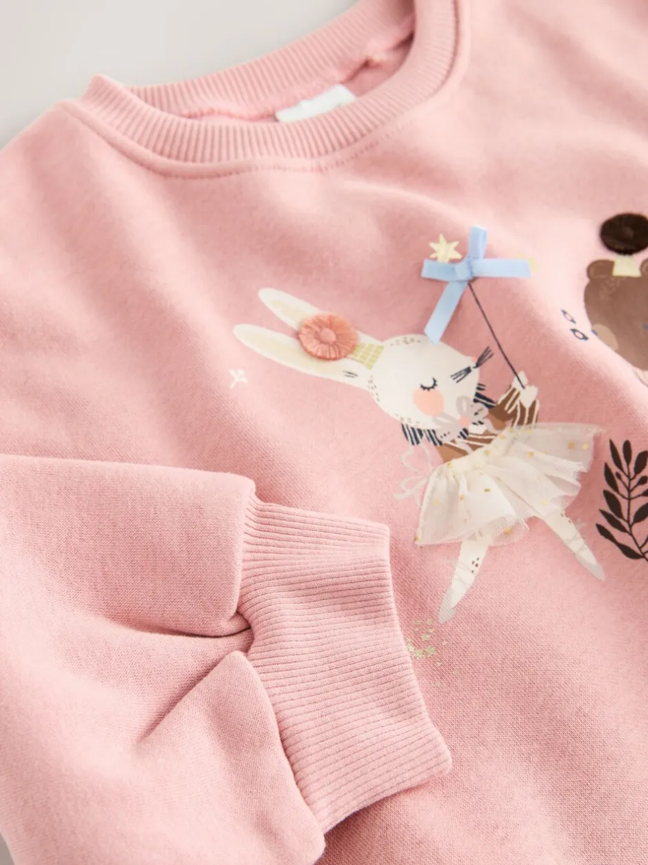 Sweaters En Hoody´S|Next Roze sprookjesfiguren - Sweatshirt met ronde hals (3 mnd-7 jr)