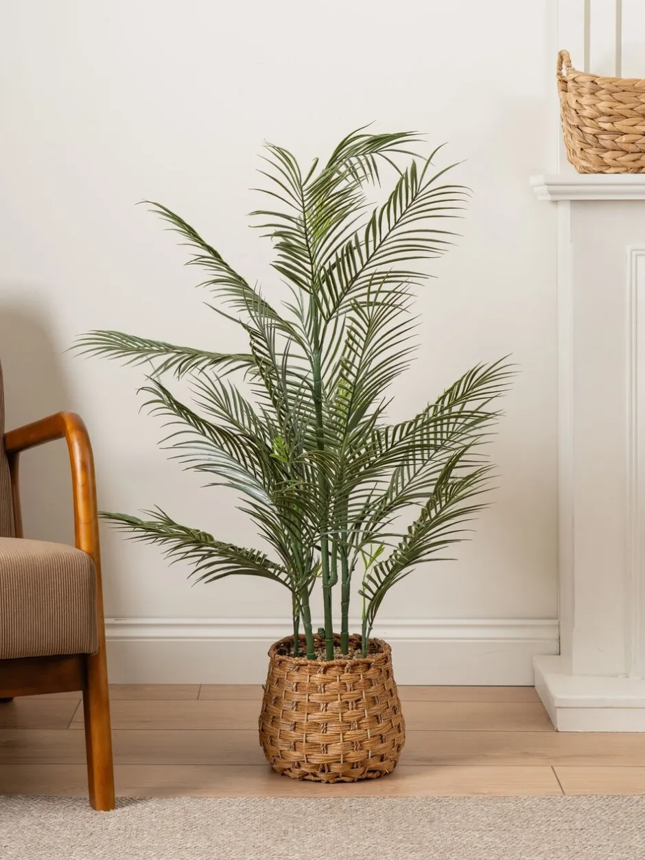 Kunstbloemen*Scottish Everlastings Ltd Artificial Palm Tree in Basket