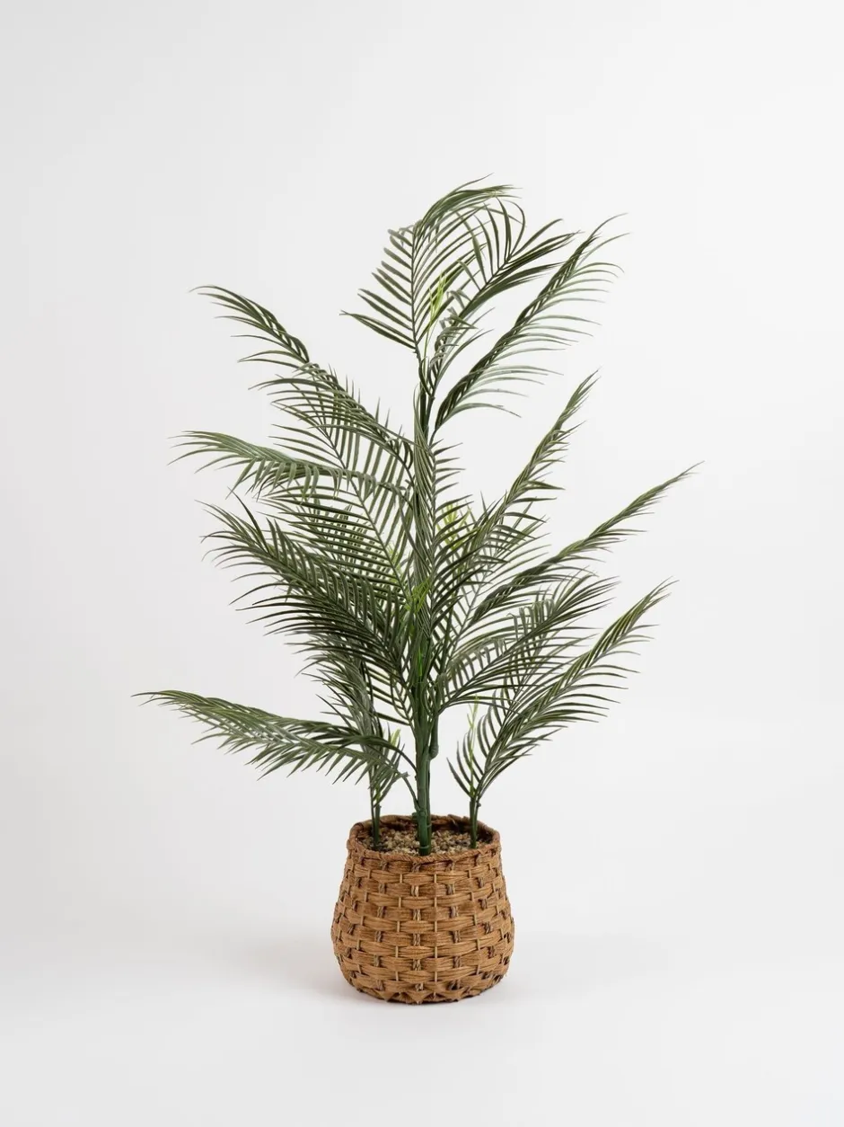 Kunstbloemen*Scottish Everlastings Ltd Artificial Palm Tree in Basket