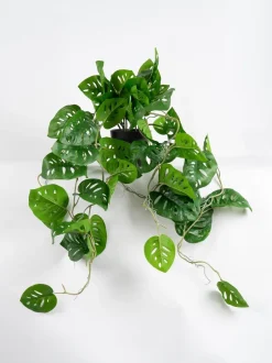 Kunstbloemen*Scottish Everlastings Ltd Artificial Trailing Monkey Mask Plant