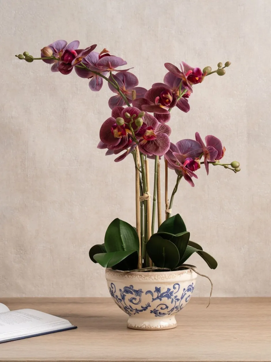 Kunstbloemen|Scottish Everlastings Ltd Artificial Real Touch Phalaenopsis Orchid in Pot