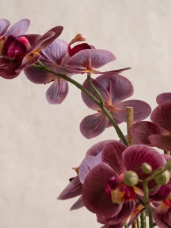 Kunstbloemen|Scottish Everlastings Ltd Artificial Real Touch Phalaenopsis Orchid in Pot