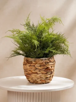 Kunstbloemen|Scottish Everlastings Ltd Artificial Fern in Basket