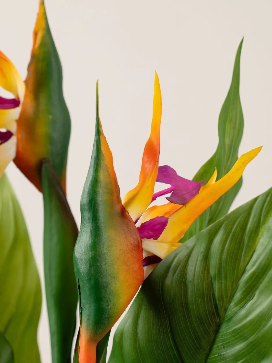 Kunstbloemen*Scottish Everlastings Ltd Artificial Bird of Paradise Tree with Flower