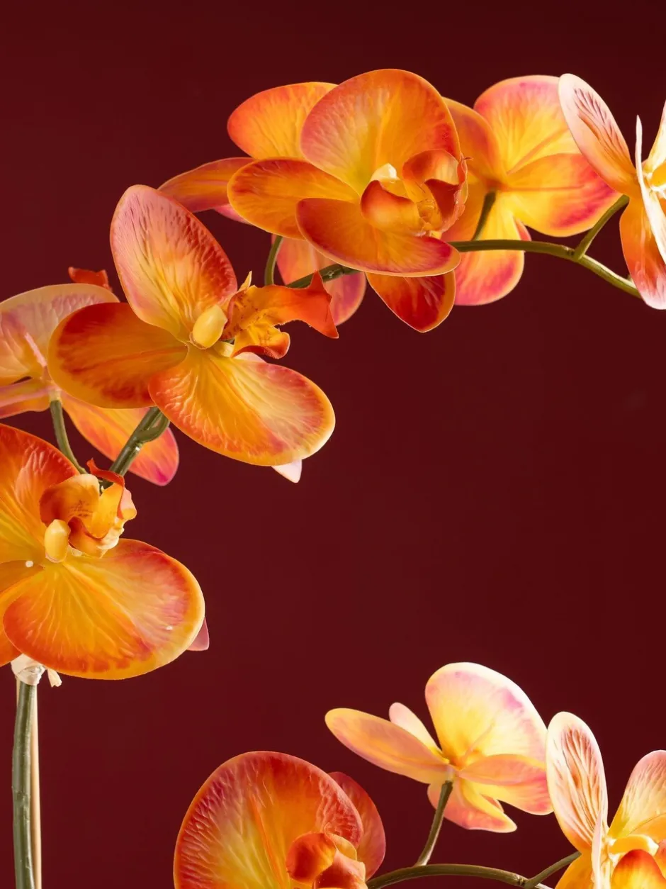 Kunstbloemen|Scottish Everlastings Ltd Artificial Real Touch Orchid