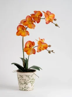 Kunstbloemen|Scottish Everlastings Ltd Artificial Real Touch Orchid