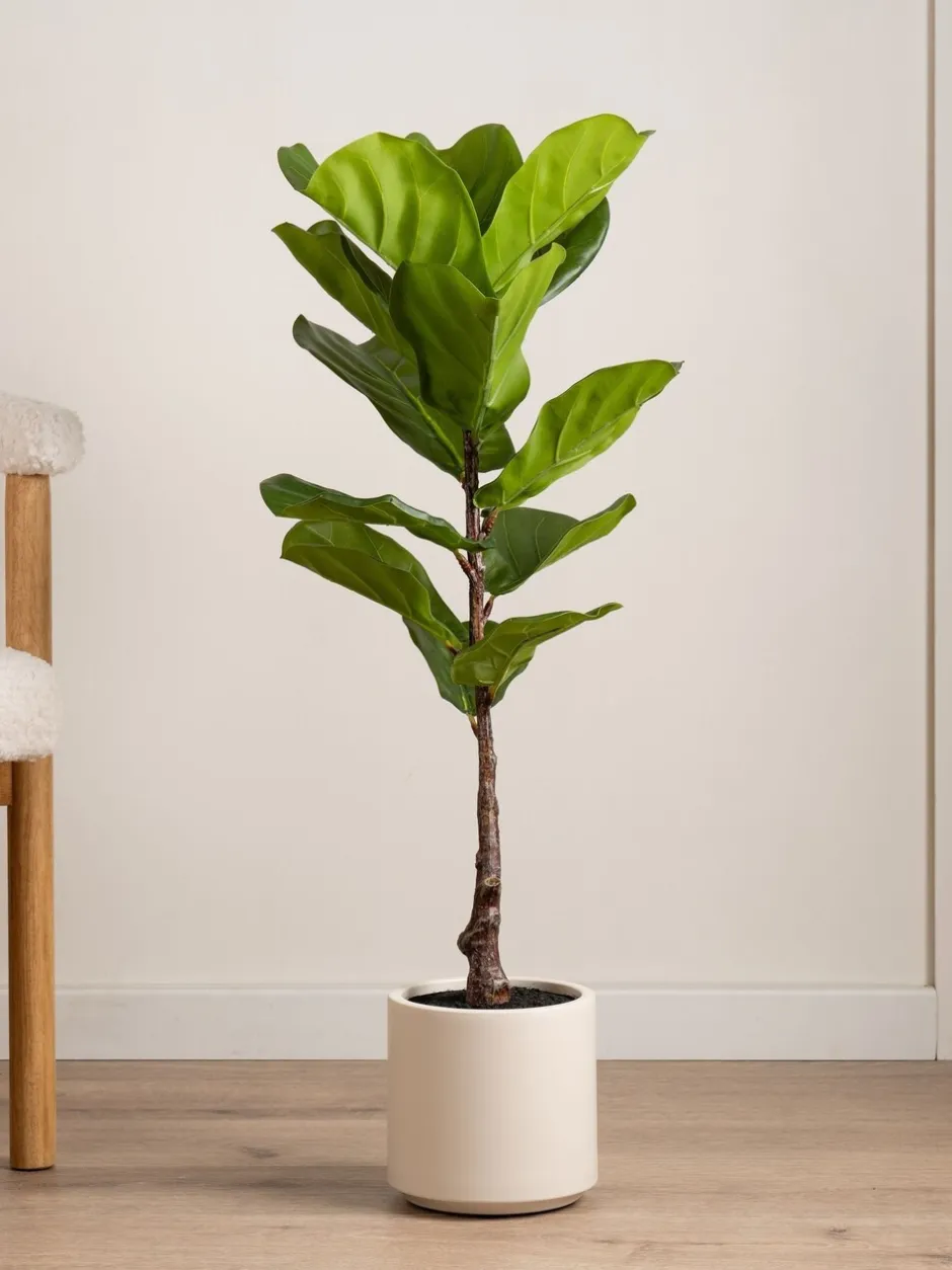 Kunstbloemen|Scottish Everlastings Ltd Artificial Fig Tree in Chunky Pot
