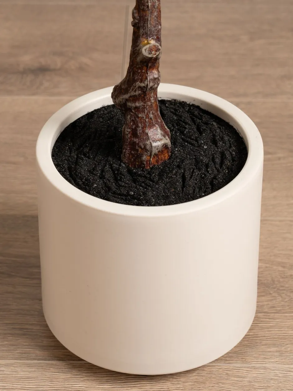 Kunstbloemen|Scottish Everlastings Ltd Artificial Fig Tree in Chunky Pot