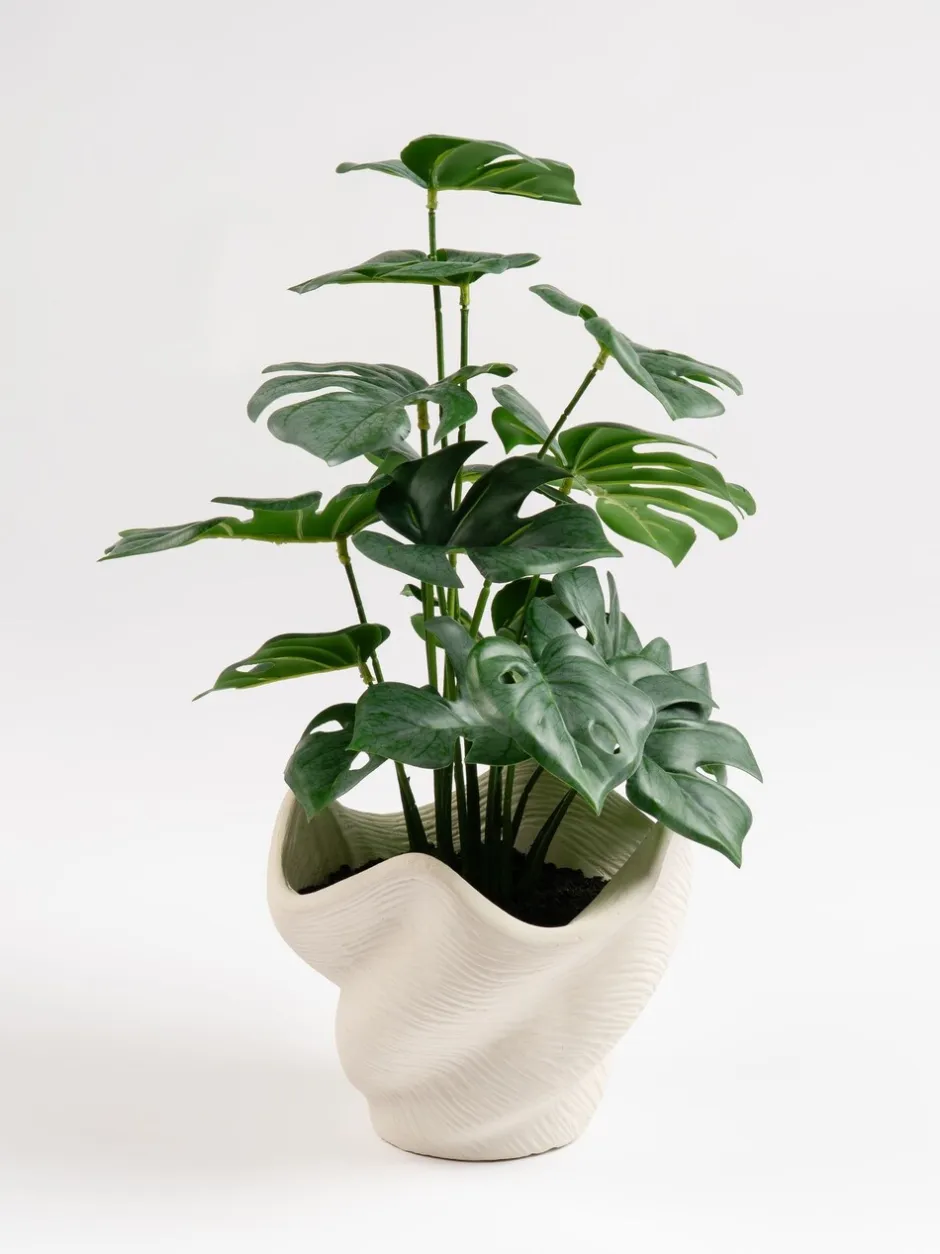 Kunstbloemen*Scottish Everlastings Ltd Artificial Variegated Monstera in Cement Pot