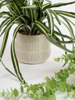 Kunstbloemen|Scottish Everlastings Ltd Set of 2 Artificial Plants in Glazed Pots
