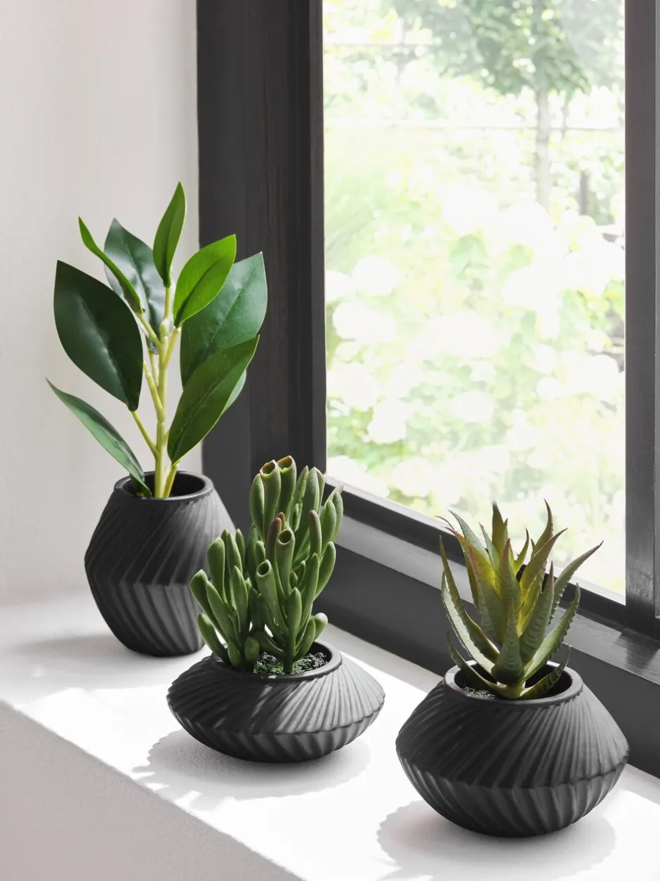 Kunstbloemen*Next Set of 3 Artificial Succulents In Black Bronx Pots