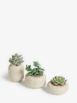 Kunstbloemen|Next Set of 3 Succulents In Ribbed Plant Pots