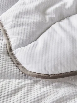 Dekbedden En Kussens|Next Sleep In Silk dekbed