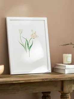 Canvassen En Kunst Voor Aan De Wand*Sophie Allport Tulpen Print Kunstwerk