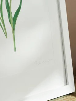 Canvassen En Kunst Voor Aan De Wand*Sophie Allport Tulpen Print Kunstwerk