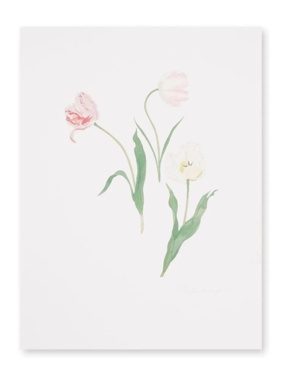 Canvassen En Kunst Voor Aan De Wand*Sophie Allport wanddecoratie met multicolor tulpenprint