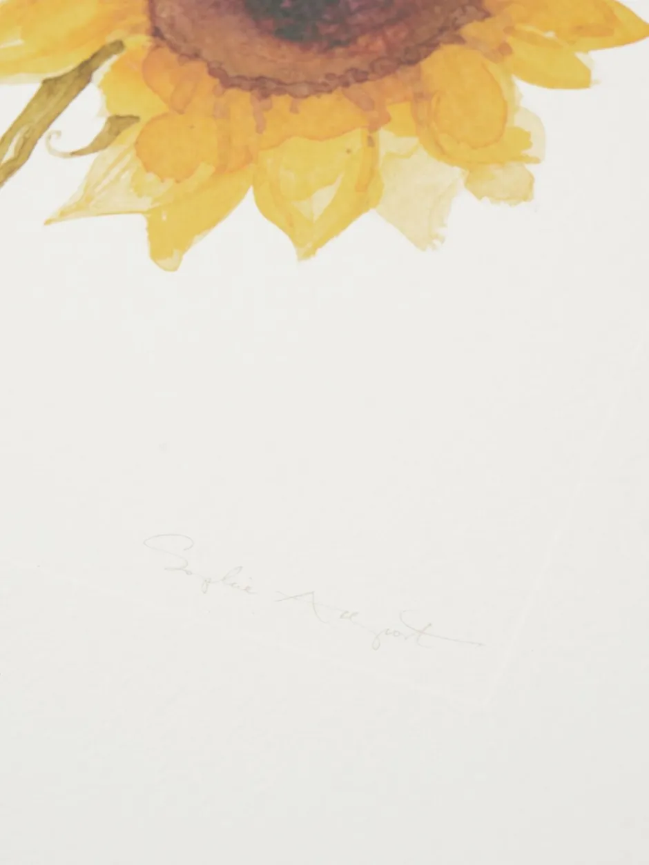 Canvassen En Kunst Voor Aan De Wand|Sophie Allport wanddecoratie met meerdere zonnebloemprints