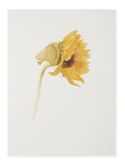 Canvassen En Kunst Voor Aan De Wand|Sophie Allport Zonnebloem Watercolour Print