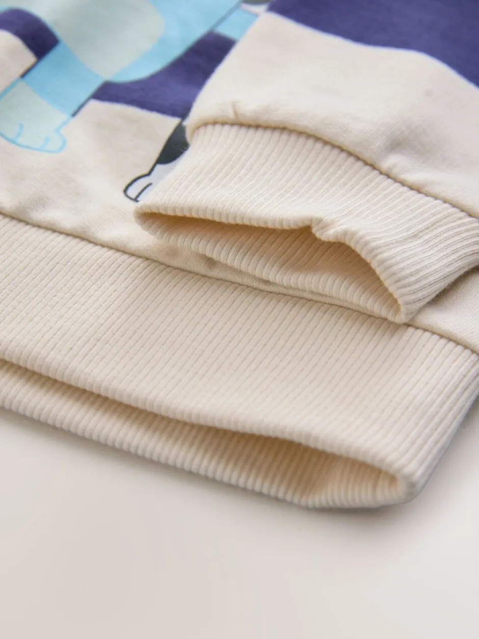 Sweaters En Hoody´S*Next Wit/blauw gestreept - Bluey sweatshirt van katoen met ronde hals (12mnd -8jr)
