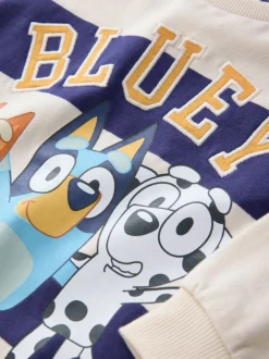 Sweaters En Hoody´S*Next Wit/blauw gestreept - Bluey sweatshirt van katoen met ronde hals (12mnd -8jr)