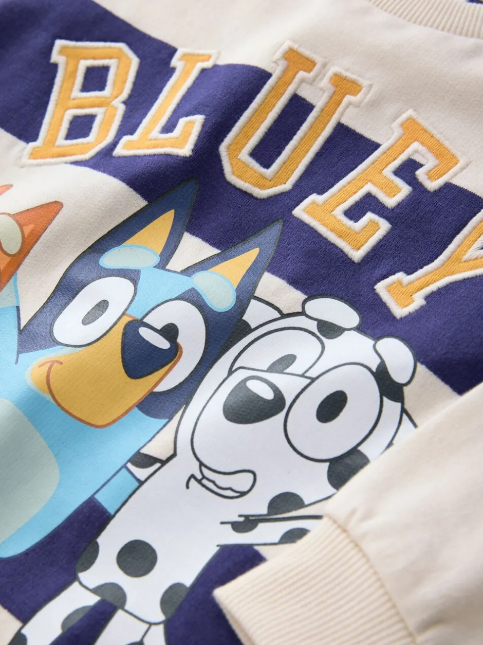 Sweaters En Hoody´S*Next Wit/blauw gestreept - Bluey sweatshirt van katoen met ronde hals (12mnd -8jr)