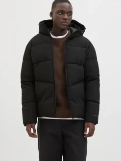 Jassen En Jacks|JACK & JONES - - Gewatteerd jack met capuchon Zwart